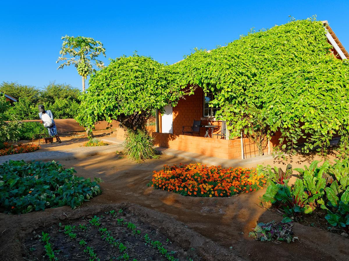 Gondwana Damara Mopane Lodge Mopane Pos Exterior foto